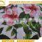 Shaoxing Textile Soft Handle Knitted Polyester Elastane DTY Double Sided Brush Printed Stretched Fabric