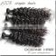 Hot new products high quality cheap virgin south american hair