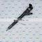 ERIKC common rail injector 0445 110 306 auto pump marine fuel injectors 0 445 110 306 diesel engine car assy 0445110306