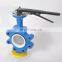 China Manufacturer Wafer End Flange Connection Ductile Iron Butterfly Valve with Price list