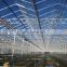 Tempered low Iron greenhouse glass