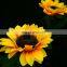 Garden decoration sunflower ROAD Application LED  Solar panel Lamps for yard lawn path