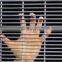 High security anti-climbing 358 security fence 358