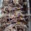 Good quality dried squid