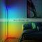 Nordic Modern Minimalist LED Line Lights Symphony RGB Wall Corner Floor Lamp