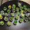 Artificial Bonsai Home Decoration Small Cheap Desktop Plastic Plant Artificial Succulent With Pulp Paper Pot