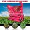 tractor towable corn stalk forage harvester chopper silage maize harvester