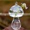 wholesale clear glass vases hanging glass vase mushroom shaped