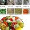 Cheap Stainless Steel Vegetable Cutting Machine