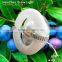 plant grow light item type magnetic induction cob led grow light