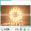 LED flexible strip light waterproof Warm White SMD5050 LED strip light 12v 30leds/m ip68