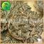 Chinese Cheap Sunflower Seeds For Sale