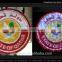 2D Christams Decorative Light Eagle Rope Light Motif