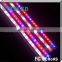 12v led aquarium lighting New 12v led aquarium lights for saltwater reef tanks