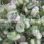 hot sale IQF scallion cut with good quality for sale
