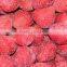 We are supply IQF frezon All Star Strawberry with good quality