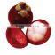 Natural Mangosteen Juice Concentrate