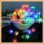 Professional 2016 china supplier 100 led christmas garden solar powered led fairy string light