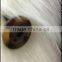 real fox tail fur scarf