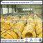 Cold Rolled 201 Stainless Steel Coil with Good Quality