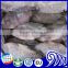 Hot Sale Tilapia Fish Farming Exporter In China