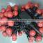 Christmas falling Star lighting string Fairy Lights LED christmas light