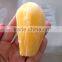 SUPPLY FROZEN JACKFRUIT WITH THE BEST PRICE