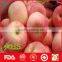 China Hot Sale Fresh Sweet Fuji Apple Fruit