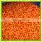 iqf frozen Whole Sliced Diced Carrot