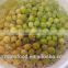 Fresh green peas in tin,canned green peas,good quality