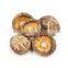 Detan Organic dried shiitake mushroom prices