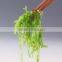 Japanese Flavor Seasoned Wakame