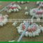 automatic poultry chicken farming equipment / system