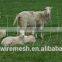 Cattle Fence /Grassland Farm Fence / farm guard field fence price
