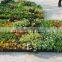 Home and outdoor decoration synthetic cheap artificial vertical green grass wall E08 04R18
