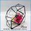 Alloy frame hanging terrarium glass home decoration