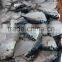 Supply Whole Round Moon fish