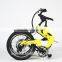 20 INCH electric folding bicycle