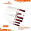 A3309-1 Great Style 5pcs Stainless Steel Knife Set Handle with Spray Printed