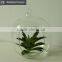 Hanging succulents mini plants artificial glass potted plants