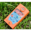 CLH100 H2S Detecting Device