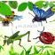 4 kinds mixed funny diy toy 3d insect paper puzzle for kid 2016