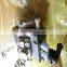Fuel Injection Pump 0445010158 With Best Price