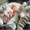 Amazon Hot Baby Stuffed Animal Plush Dog Toys Kids Sensory Plush Toy Weighted