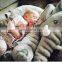 2020 Hot Sell  Plush Toy For Baby  Animal Plush Toy Autism Sensory Toys Weighted Toy