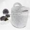 Multifunctional 5gallon bag plant container felt potato pot