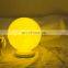 Unique 3D Moon Night Light Promotion Gift Sleeping Light With Touch Remote Control