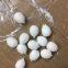 EXpancell  microspheres  for making  Sole foaming agent