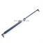 One Year Warranty Hydraulic Gas Spring Cylinder Damper Gas Strut Gas Lift