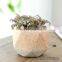 Macaron plant pot small fresh coarse pottery tabletop ceramic flowers with holes